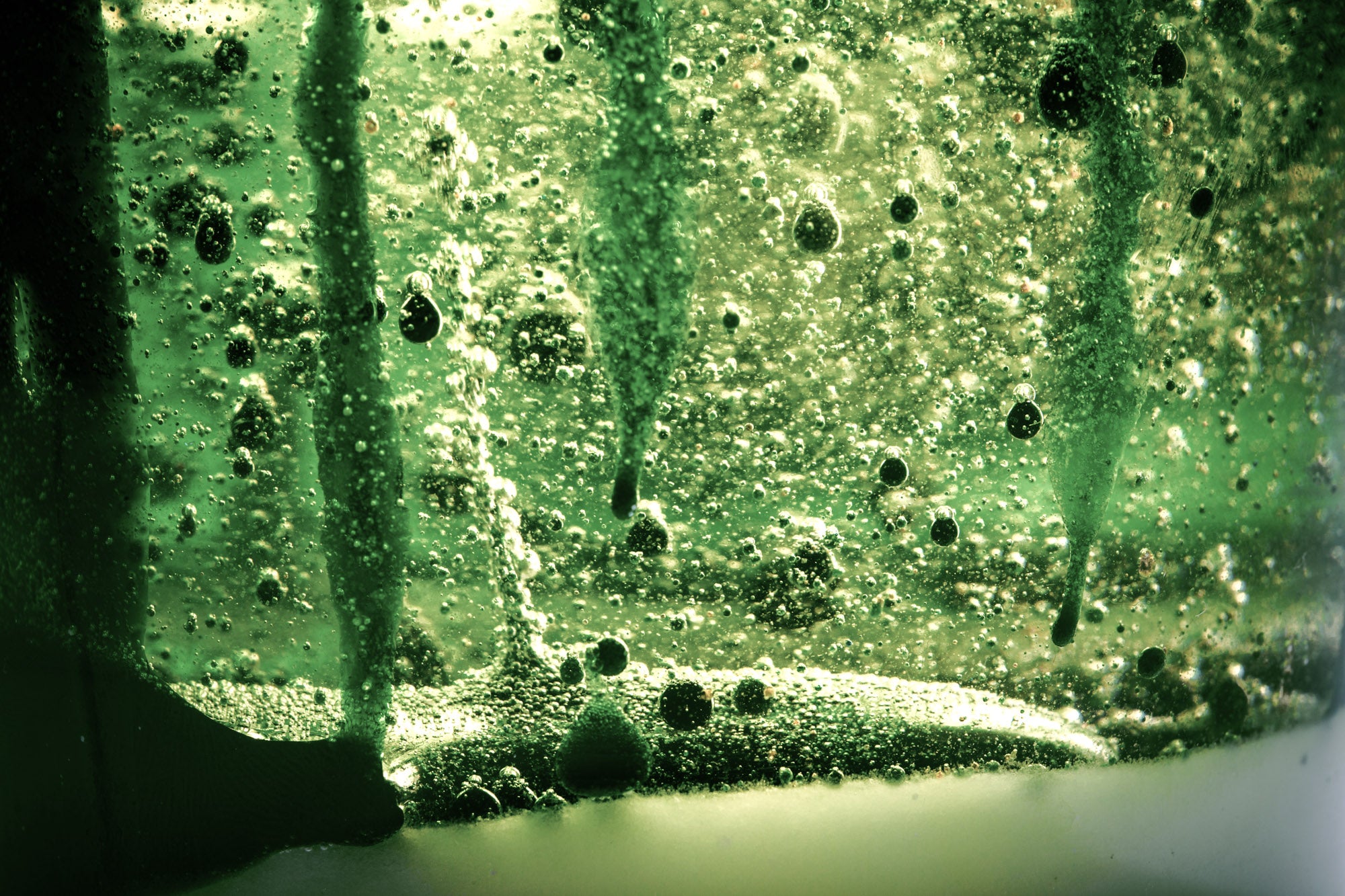Nuebiome
