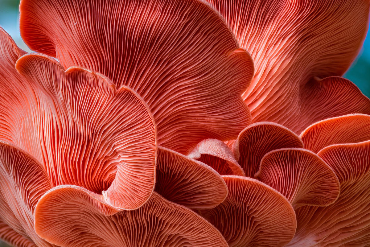 Microbiome Skincare: Benefits & How to Build a Routine for Healthier Skin hero image
