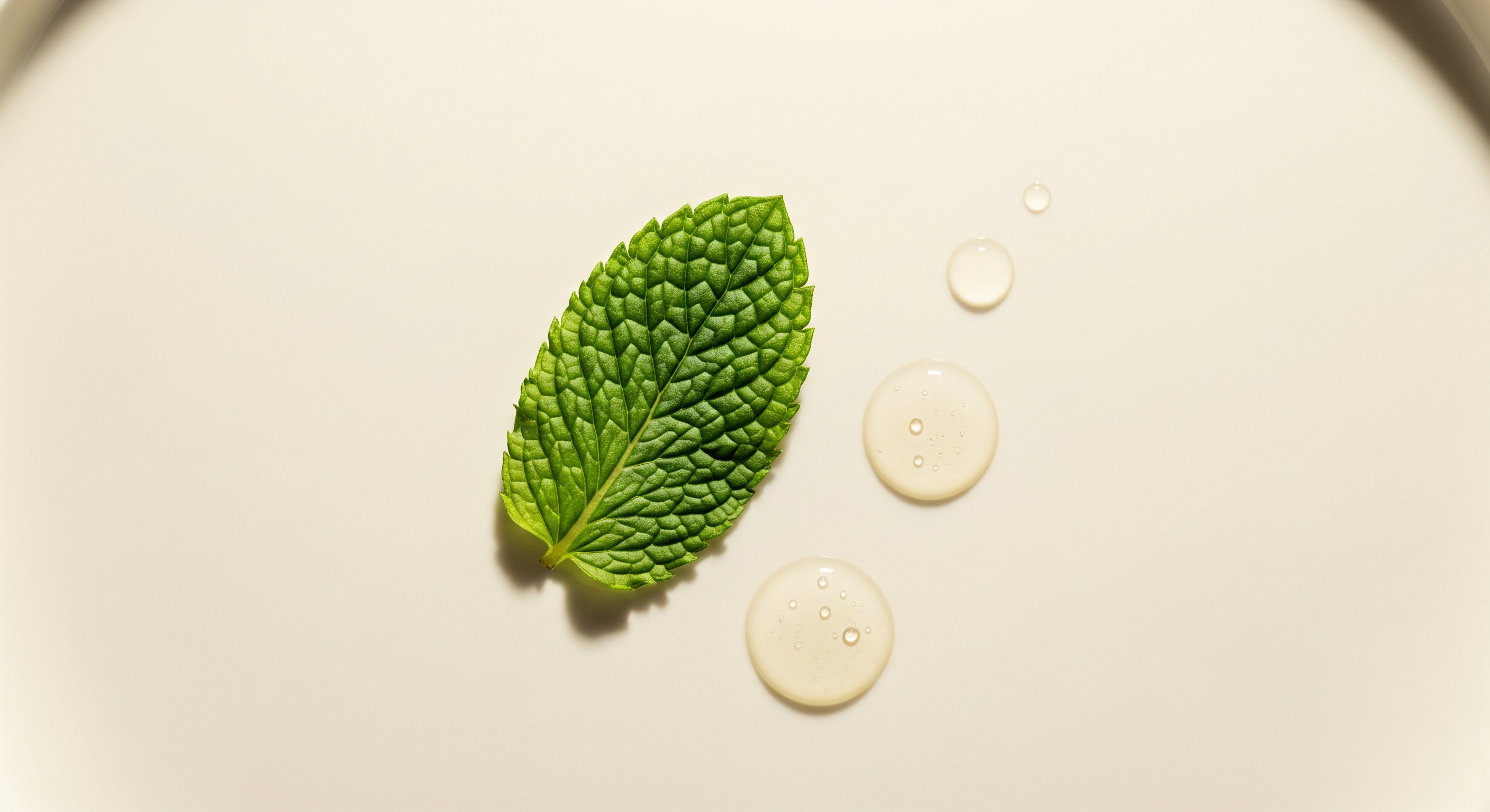 Peppermint essential oil ingredient highlight in a clean skincare formula