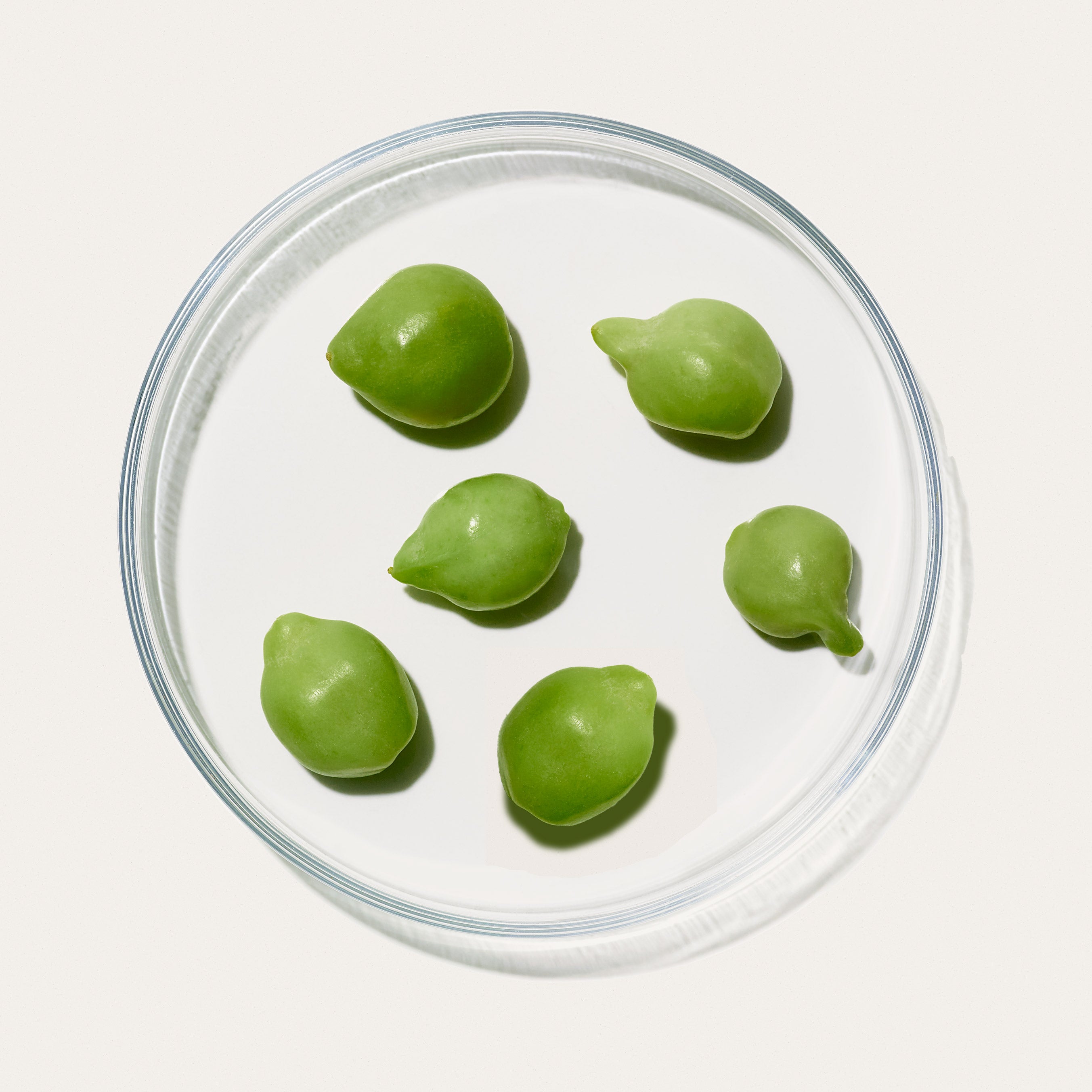 Kakadu Plum