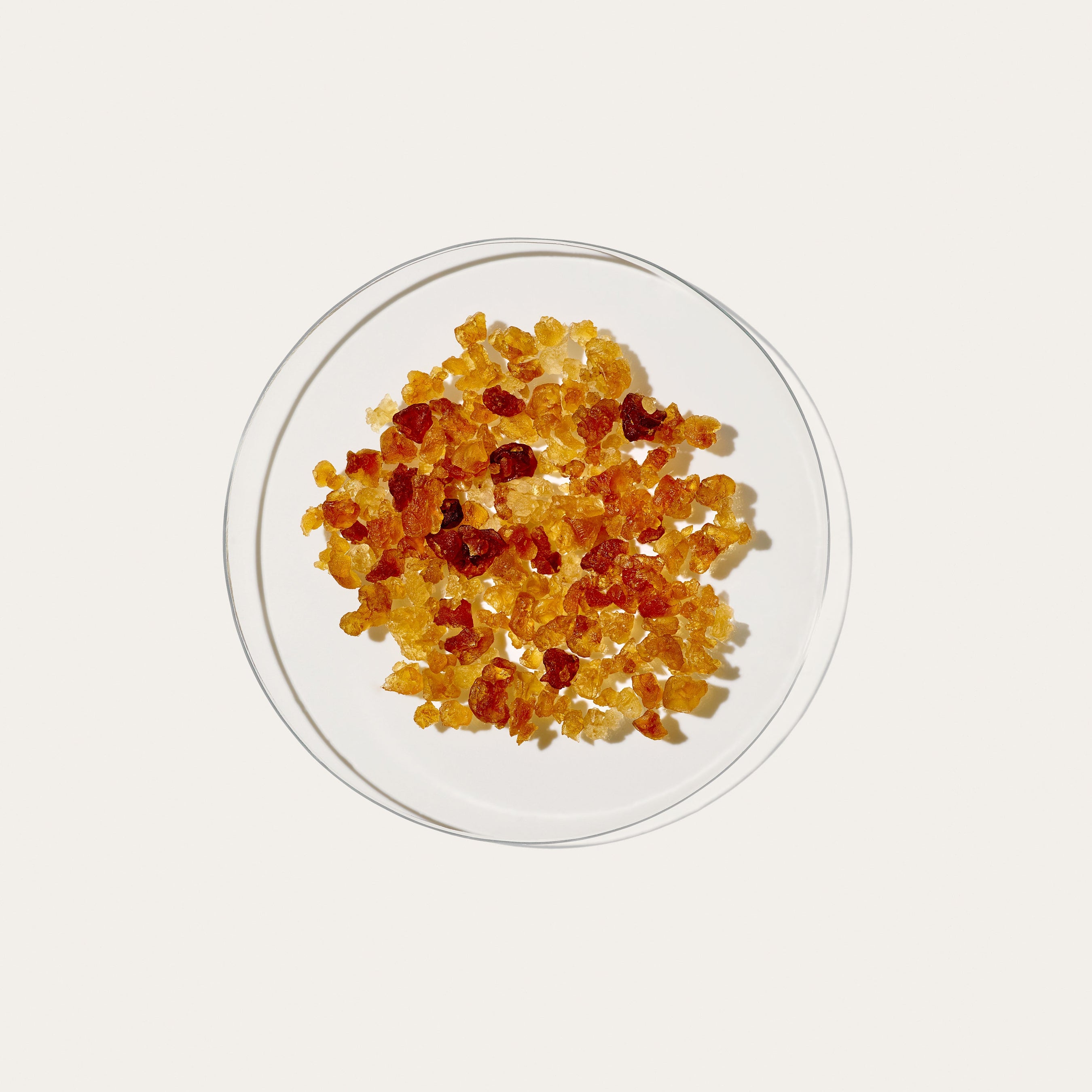 Lactobacillus Ferment Lysate | Nuebiome