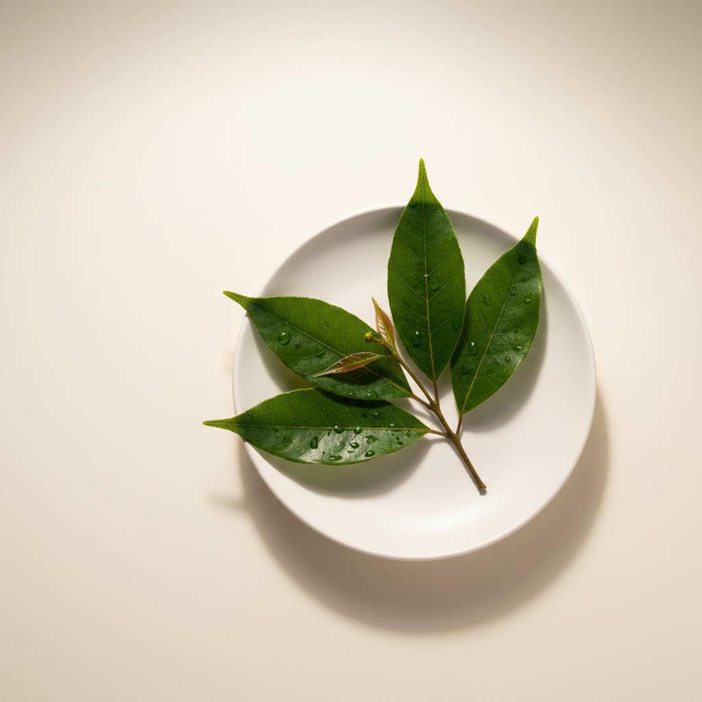 Vibrant Cinnamomum Camphora leaves and a glass bottle of extracted essential oil