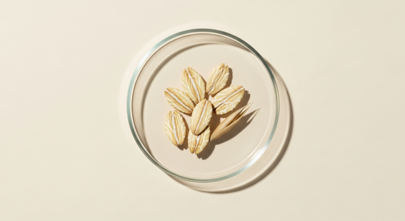 Soothing oatmeal extract in a glass dropper bottle surrounded by whole oat grains