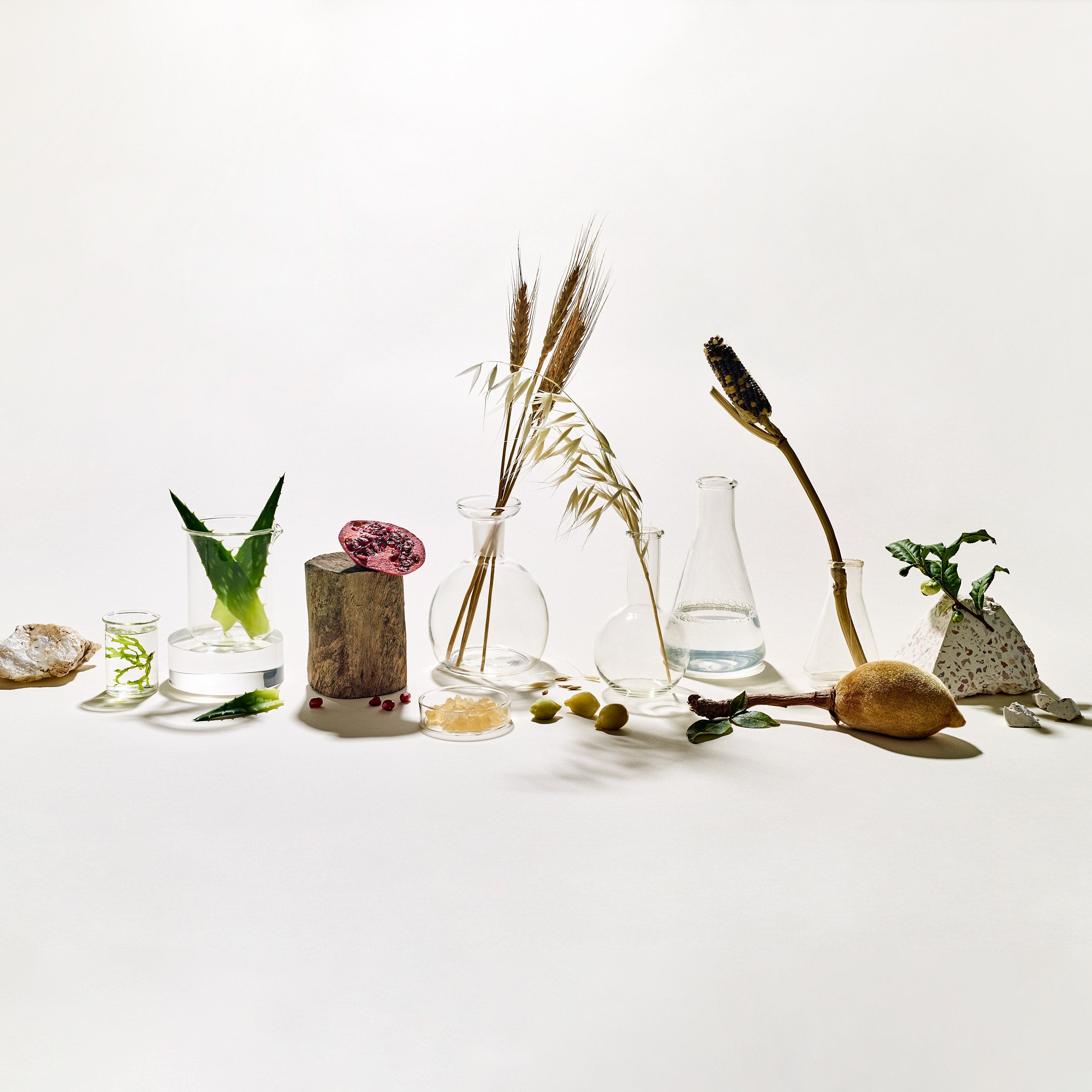 Why probiotic skin care routines matter