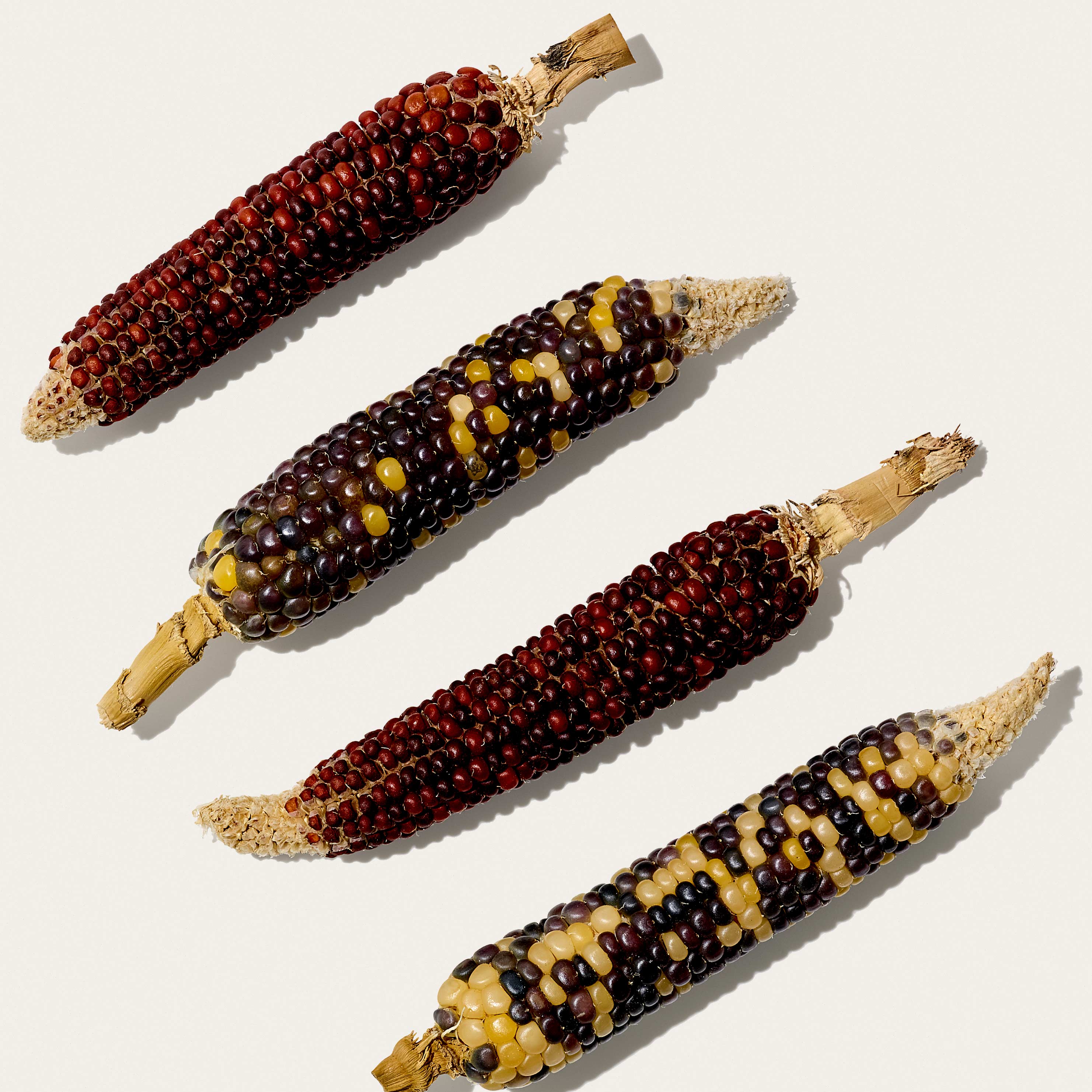 Heirloom Corn