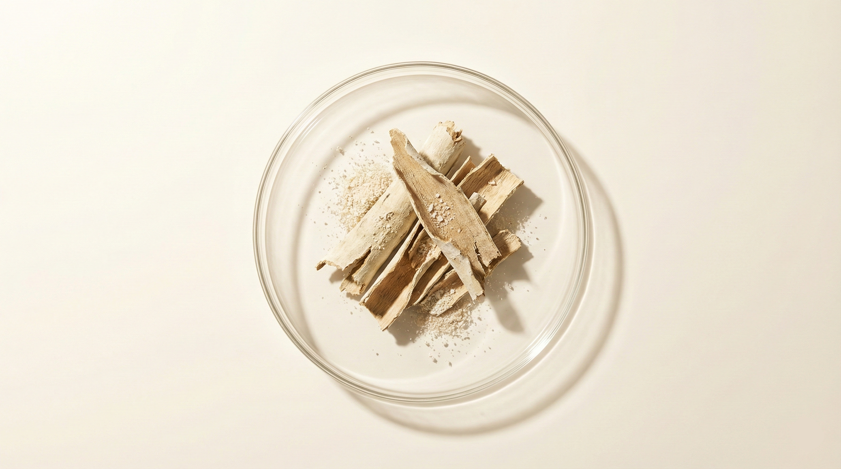 This natural botanical source of salicylic acid is presented on a seamless, warm beige background