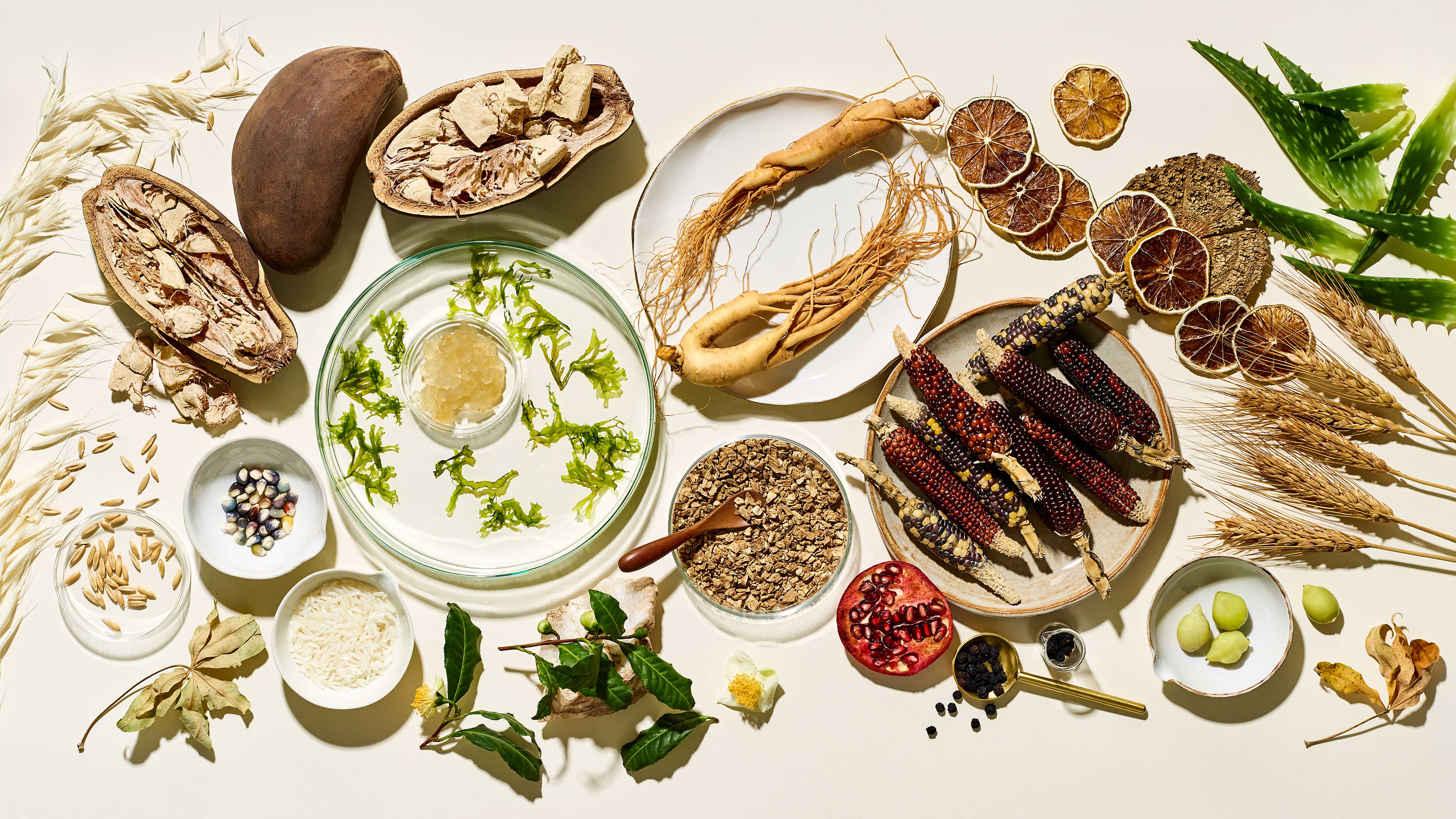 nuebiome clean skincare natural ingredients for probiotics